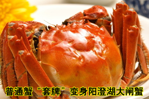 记者暗访：阳澄湖大闸蟹造假过程
